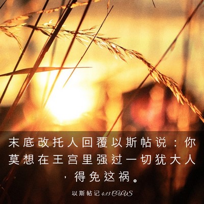 Picture 03 - 以 斯 帖 记 4:13 CUVS - 末 底 改 托 人 回 覆 以 斯 帖 说 ： - Bible Verse Picture
