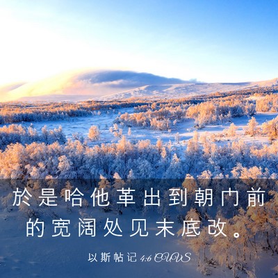 Picture 03 - 以 斯 帖 记 4:6 CUVS - 於 是 哈 他 革 出 到 朝 门 前 的 宽 - Bible Verse Picture