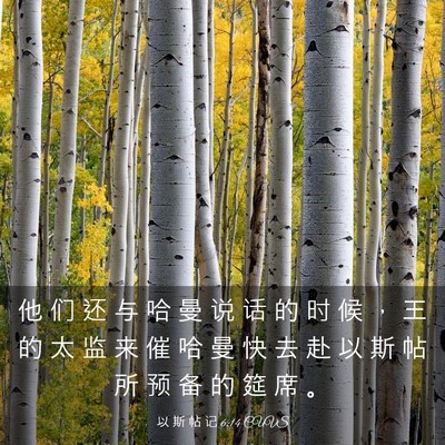 Picture 03 - 以 斯 帖 记 6:14 CUVS - 他 们 还 与 哈 曼 说 话 的 时 候 ， - Bible Verse Picture