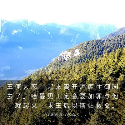 Picture 03 - 以 斯 帖 记 7:7 CUVS - 王 便 大 怒 ， 起 来 离 开 酒 席 往 - Bible Verse Picture