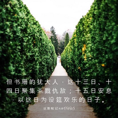 Picture 03 - 以 斯 帖 记 9:18 CUVS - 但 书 珊 的 犹 大 人 ， 这 十 三 日 - Bible Verse Picture