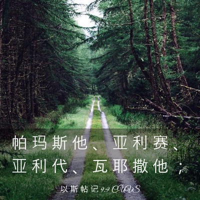 Picture 03 - 以 斯 帖 记 9:9 CUVS - 帕 玛 斯 他 、 亚 利 赛 、 亚 利 代 - Bible Verse Picture