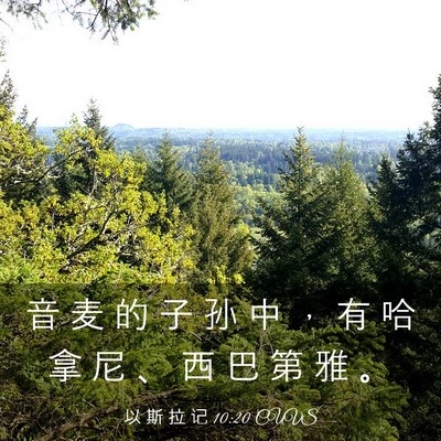 Picture 03 - 以 斯 拉 记 10:20 CUVS - 音 麦 的 子 孙 中 ， 有 哈 拿 尼 、 - Bible Verse Picture