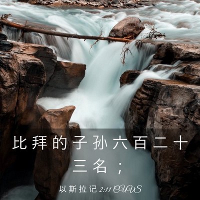 Picture 03 - 以 斯 拉 记 2:11 CUVS - 比 拜 的 子 孙 六 百 二 十 三 名 - Bible Verse Picture
