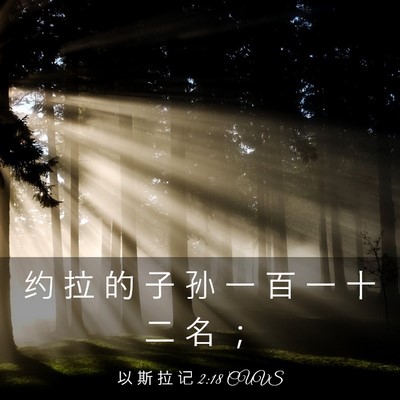 Picture 03 - 以 斯 拉 记 2:18 CUVS - 约 拉 的 子 孙 一 百 一 十 二 名 - Bible Verse Picture