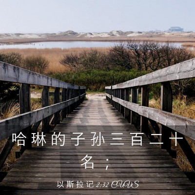 Picture 03 - 以 斯 拉 记 2:32 CUVS - 哈 琳 的 子 孙 三 百 二 十 名 - Bible Verse Picture