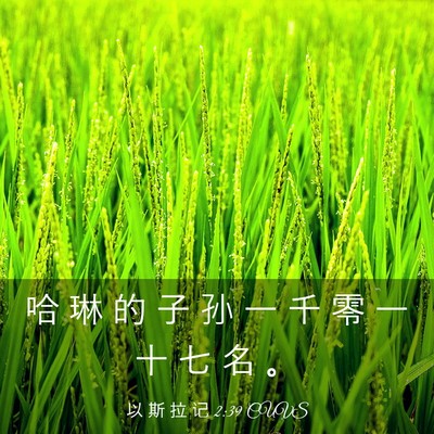 Picture 03 - 以 斯 拉 记 2:39 CUVS - 哈 琳 的 子 孙 一 千 零 一 十 七 名 - Bible Verse Picture
