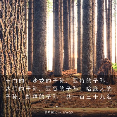 Picture 03 - 以 斯 拉 记 2:42 CUVS - 守 门 的 ： 沙 龙 的 子 孙 、 亚 特 - Bible Verse Picture