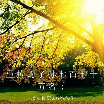 Picture 03 - 以 斯 拉 记 2:5 CUVS - 亚 拉 的 子 孙 七 百 七 十 五 名 - Bible Verse Picture