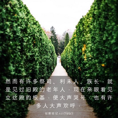 Picture 03 - 以 斯 拉 记 3:12 CUVS - 然 而 有 许 多 祭 司 、 利 未 人 、 - Bible Verse Picture
