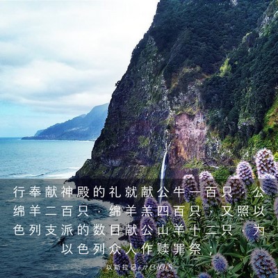 Picture 03 - 以 斯 拉 记 6:17 CUVS - 行 奉 献 神 殿 的 礼 就 献 公 牛 一 - Bible Verse Picture