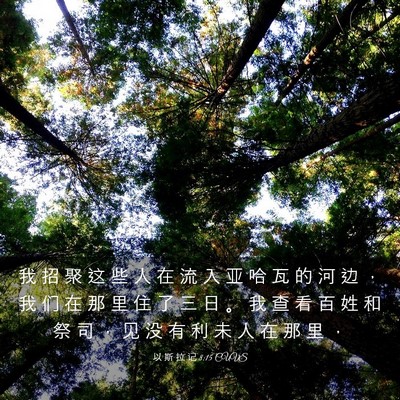 Picture 03 - 以 斯 拉 记 8:15 CUVS - 我 招 聚 这 些 人 在 流 入 亚 哈 瓦 - Bible Verse Picture