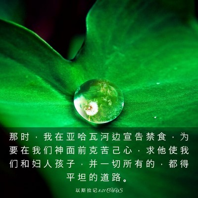 Picture 03 - 以 斯 拉 记 8:21 CUVS - 那 时 ， 我 在 亚 哈 瓦 河 边 宣 告 - Bible Verse Picture