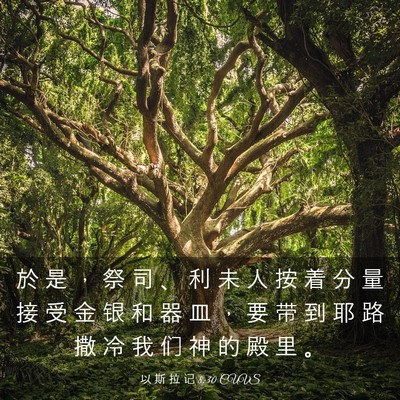 Picture 03 - 以 斯 拉 记 8:30 CUVS - 於 是 ， 祭 司 、 利 未 人 按 着 分 - Bible Verse Picture