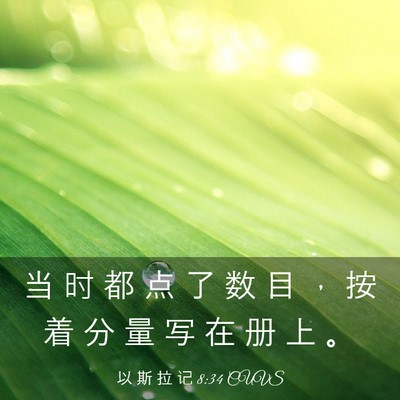 Picture 03 - 以 斯 拉 记 8:34 CUVS - 当 时 都 点 了 数 目 ， 按 着 分 量 - Bible Verse Picture