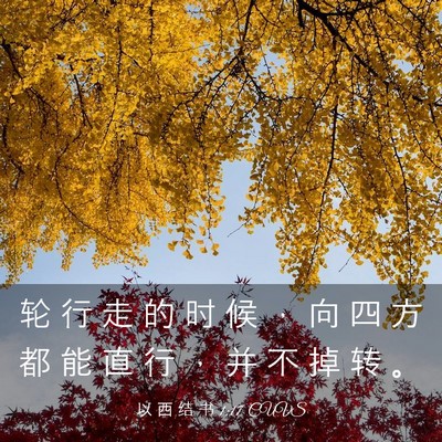Picture 03 - 以 西 结 书 1:17 CUVS - 轮 行 走 的 时 候 ， 向 四 方 都 能 - Bible Verse Picture