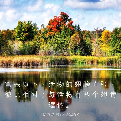 Picture 03 - 以 西 结 书 1:23 CUVS - 穹 苍 以 下 ， 活 物 的 翅 膀 直 张 - Bible Verse Picture