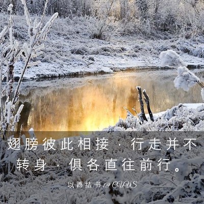 Picture 03 - 以 西 结 书 1:9 CUVS - 翅 膀 彼 此 相 接 ， 行 走 并 不 转 - Bible Verse Picture