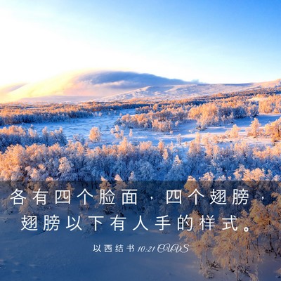 Picture 03 - 以 西 结 书 10:21 CUVS - 各 有 四 个 脸 面 ， 四 个 翅 膀 ， - Bible Verse Picture