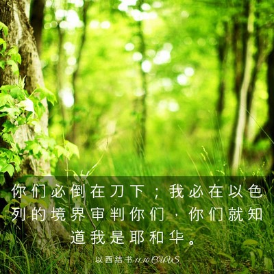 Picture 03 - 以 西 结 书 11:10 CUVS - 你 们 必 倒 在 刀 下 ； 我 必 在 以 - Bible Verse Picture