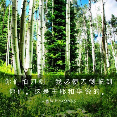 Picture 03 - 以 西 结 书 11:8 CUVS - 你 们 怕 刀 剑 ， 我 必 使 刀 剑 临 - Bible Verse Picture