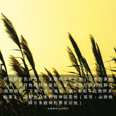Picture 03 - 以 西 结 书 14:4 CUVS - 所 以 你 要 告 诉 他 们 ： 主 耶 和 - Bible Verse Picture