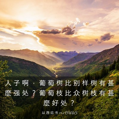 Picture 03 - 以 西 结 书 15:2 CUVS - 人 子 啊 ， 葡 萄 树 比 别 样 树 有 - Bible Verse Picture