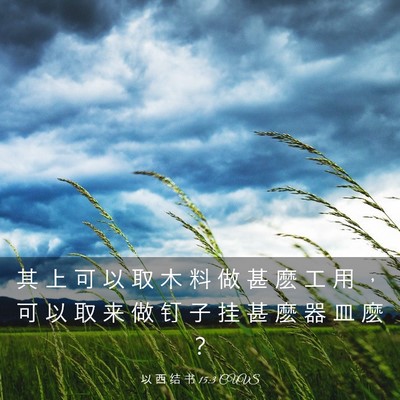 Picture 03 - 以 西 结 书 15:3 CUVS - 其 上 可 以 取 木 料 做 甚 麽 工 用 - Bible Verse Picture