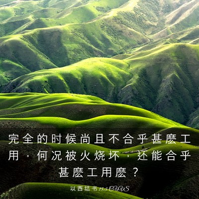 Picture 03 - 以 西 结 书 15:5 CUVS - 完 全 的 时 候 尚 且 不 合 乎 甚 麽 - Bible Verse Picture