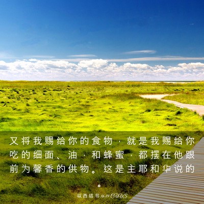 Picture 03 - 以 西 结 书 16:19 CUVS - 又 将 我 赐 给 你 的 食 物 ， 就 是 - Bible Verse Picture