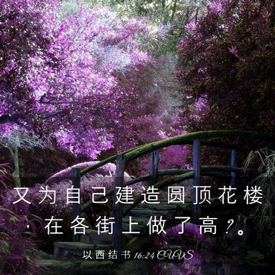 Picture 03 - 以 西 结 书 16:24 CUVS - 又 为 自 己 建 造 圆 顶 花 楼 ， 在 - Bible Verse Picture