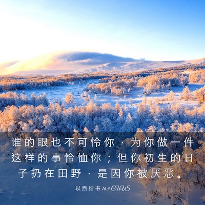 Picture 03 - 以 西 结 书 16:5 CUVS - 谁 的 眼 也 不 可 怜 你 ， 为 你 做 - Bible Verse Picture