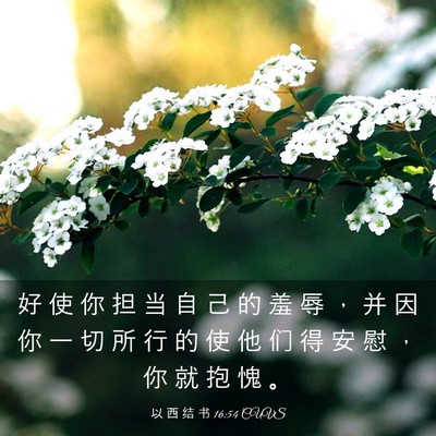 Picture 03 - 以 西 结 书 16:54 CUVS - 好 使 你 担 当 自 己 的 羞 辱 ， 并 - Bible Verse Picture