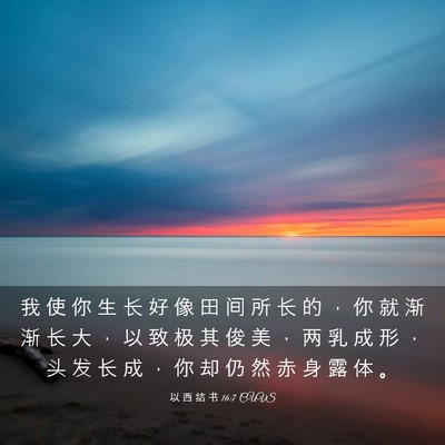 Picture 03 - 以 西 结 书 16:7 CUVS - 我 使 你 生 长 好 像 田 间 所 长 的 - Bible Verse Picture