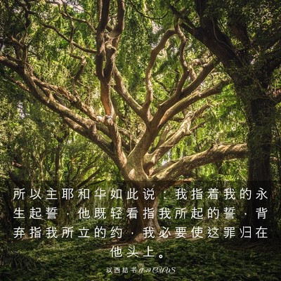 Picture 03 - 以 西 结 书 17:19 CUVS - 所 以 主 耶 和 华 如 此 说 ： 我 指 - Bible Verse Picture