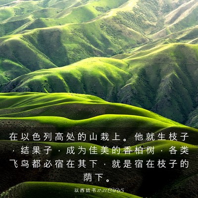Picture 03 - 以 西 结 书 17:23 CUVS - 在 以 色 列 高 处 的 山 栽 上 。 他 - Bible Verse Picture