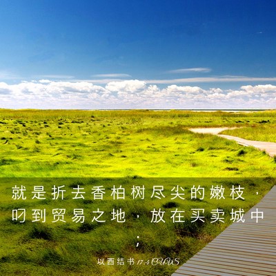 Picture 03 - 以 西 结 书 17:4 CUVS - 就 是 折 去 香 柏 树 尽 尖 的 嫩 枝 - Bible Verse Picture