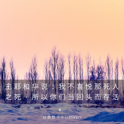 Picture 03 - 以 西 结 书 18:32 CUVS - 主 耶 和 华 说 ： 我 不 喜 悦 那 死 - Bible Verse Picture