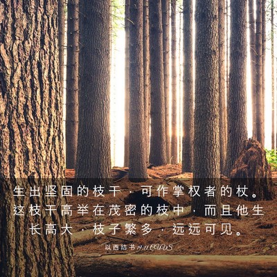 Picture 03 - 以 西 结 书 19:11 CUVS - 生 出 坚 固 的 枝 干 ， 可 作 掌 权 - Bible Verse Picture