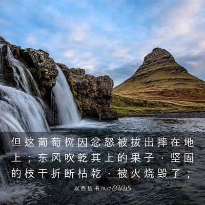 Picture 03 - 以 西 结 书 19:12 CUVS - 但 这 葡 萄 树 因 忿 怒 被 拔 出 摔 - Bible Verse Picture