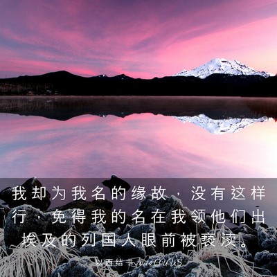 Picture 03 - 以 西 结 书 20:14 CUVS - 我 却 为 我 名 的 缘 故 ， 没 有 这 - Bible Verse Picture