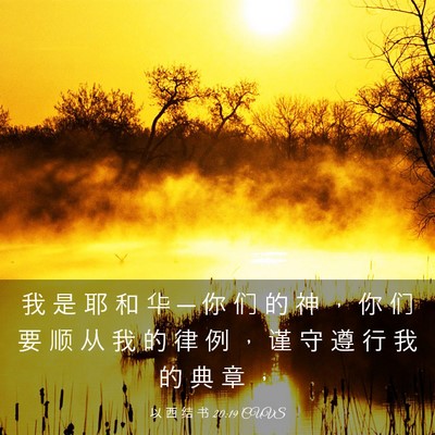 Picture 03 - 以 西 结 书 20:19 CUVS - 我 是 耶 和 华 ─ 你 们 的 神 ， 你 - Bible Verse Picture