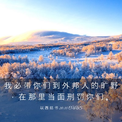 Picture 03 - 以 西 结 书 20:35 CUVS - 我 必 带 你 们 到 外 邦 人 的 旷 野 - Bible Verse Picture