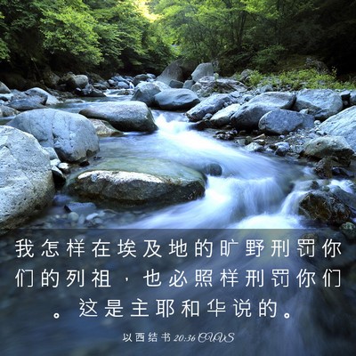 Picture 03 - 以 西 结 书 20:36 CUVS - 我 怎 样 在 埃 及 地 的 旷 野 刑 罚 - Bible Verse Picture