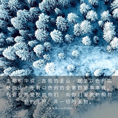 Picture 03 - 以 西 结 书 20:40 CUVS - 主 耶 和 华 说 ： 在 我 的 圣 山 ， - Bible Verse Picture