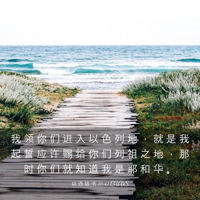 Picture 03 - 以 西 结 书 20:42 CUVS - 我 领 你 们 进 入 以 色 列 地 ， 就 - Bible Verse Picture