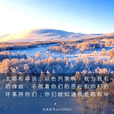 Picture 03 - 以 西 结 书 20:44 CUVS - 主 耶 和 华 说 ： 以 色 列 家 啊 ， - Bible Verse Picture