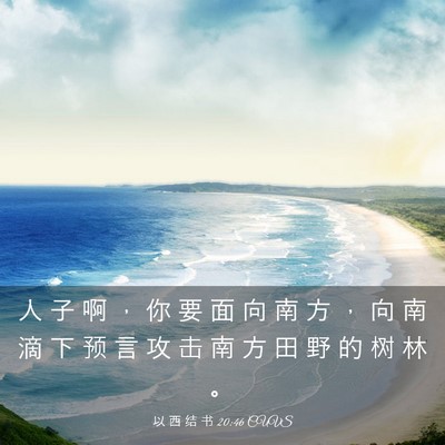 Picture 03 - 以 西 结 书 20:46 CUVS - 人 子 啊 ， 你 要 面 向 南 方 ， 向 - Bible Verse Picture