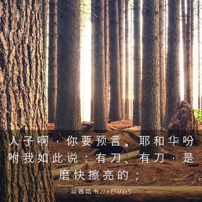 Picture 03 - 以 西 结 书 21:9 CUVS - 人 子 啊 ， 你 要 预 言 。 耶 和 华 - Bible Verse Picture