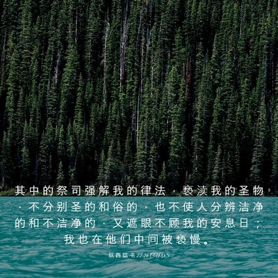 Picture 03 - 以 西 结 书 22:26 CUVS - 其 中 的 祭 司 强 解 我 的 律 法 ， - Bible Verse Picture